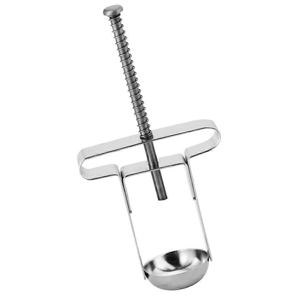 Manual Cherry Pitter Tool 2Pcs Core Remover for Kitchen