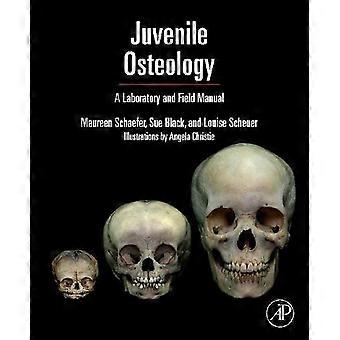 Osteology giovanile: Un laboratorio e campo (campo & laboratorio manuale)