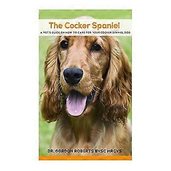Cocker Spaniel: przewodnik weterynarza na temat opieki nad psem Cocker Spaniela