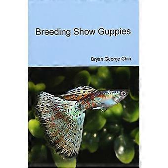 Zuchtschau Guppies