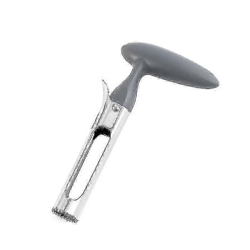 Stainless Steel Apple & Fruit Pulp Separator