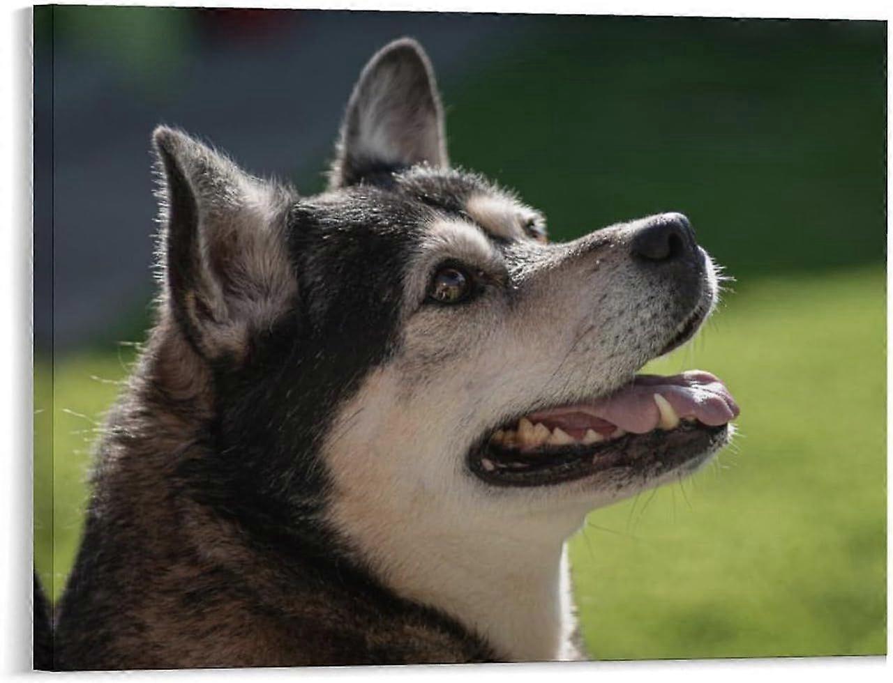 Quebra-cabeça de cachorro Husky VV639