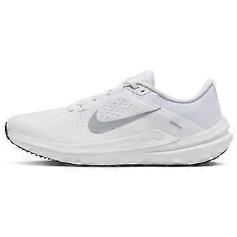 Nike Winflo 10 'White Wolf Grey' DV4022-102