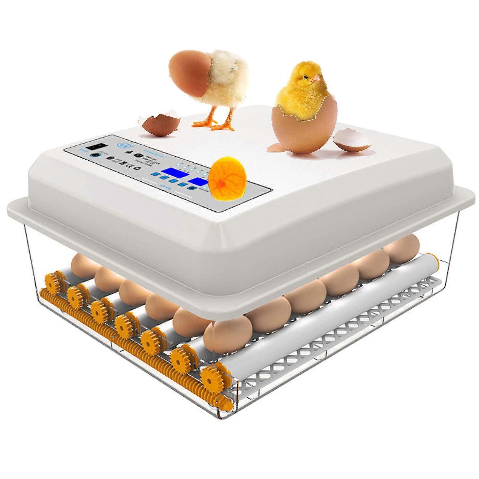 Automatic Egg Incubator 36 Eggs with Digital Temperature Control and Automatic Turning for Chicken Hatching