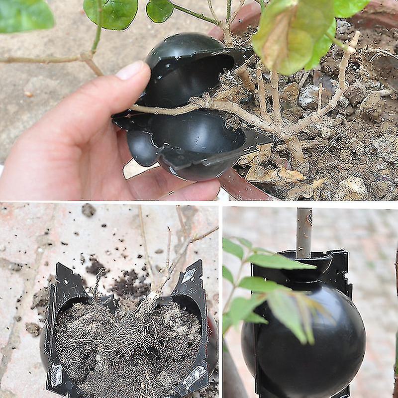 Plant Rooting Ball Propagation Rooting Box Plant Cloner Grafting Breeding Seeding Container Nursery Box Garden Seeds Root Cases