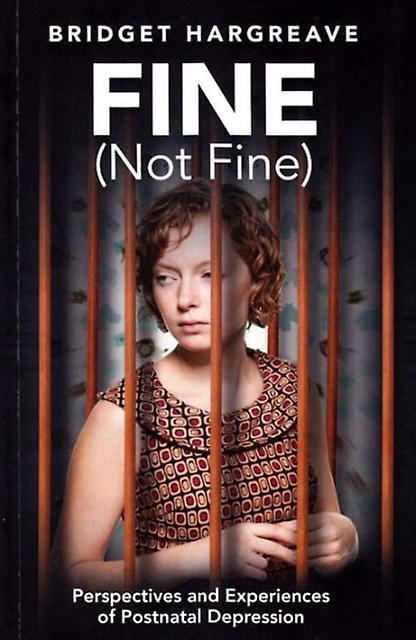 Fine Not Fine by Bridget Hargreave Paperback Book
