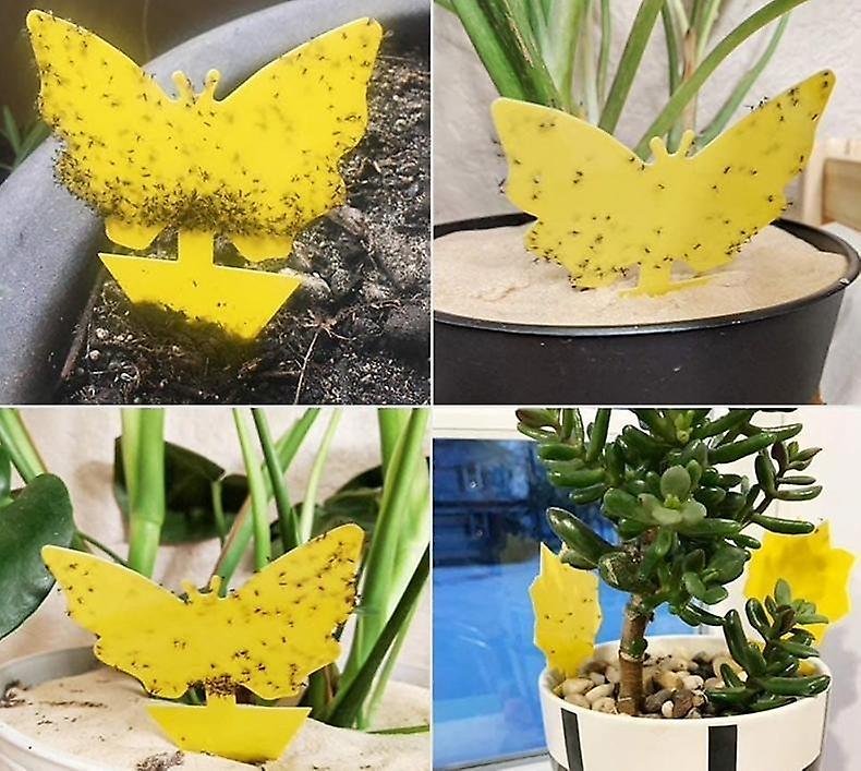 60-Pack - Fly Trap / Fly Trap / Mosquito Trap - Catches Flies