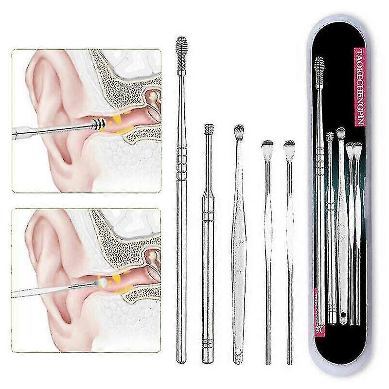 1 Set Sliver Acier inoxydable Multi Tool Set Ear Cleaner Ear Pick Ear Clean Tool