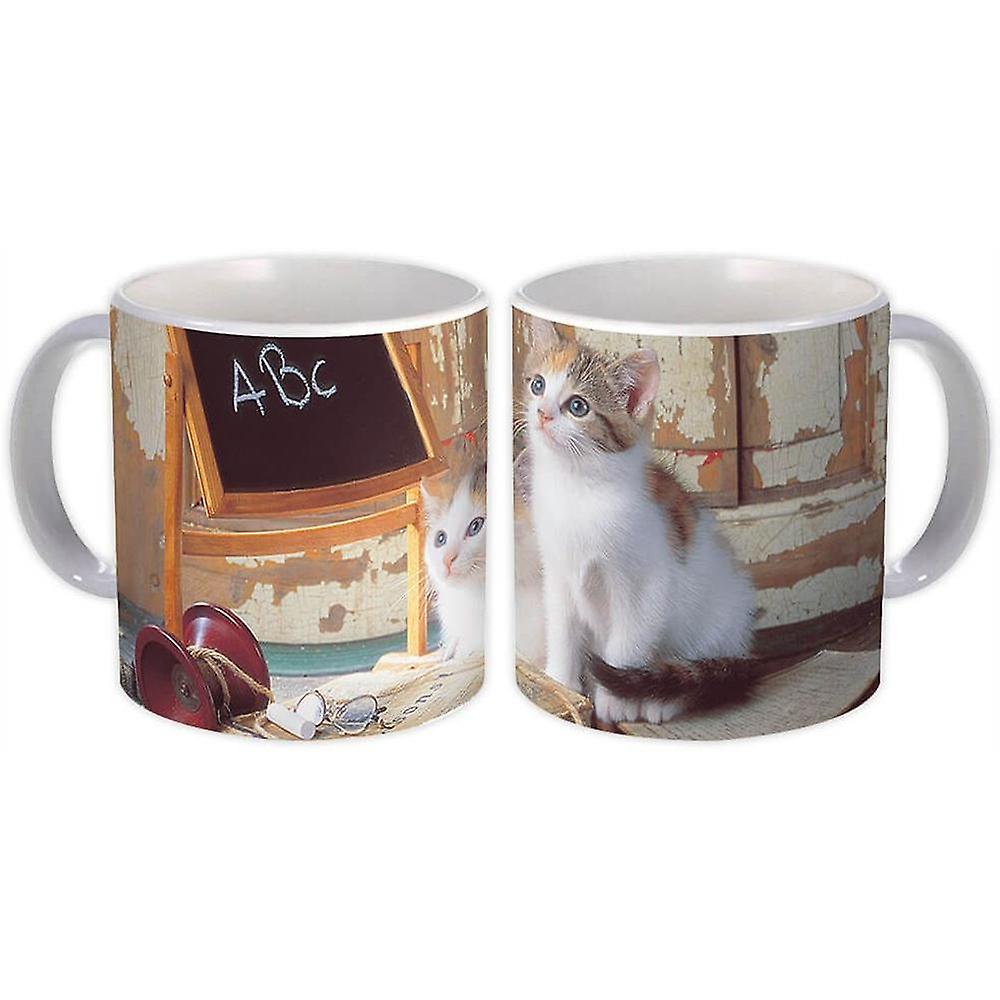 Hediye Kupa: Kedi Hayvan