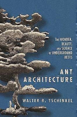 Arhitectura Ant