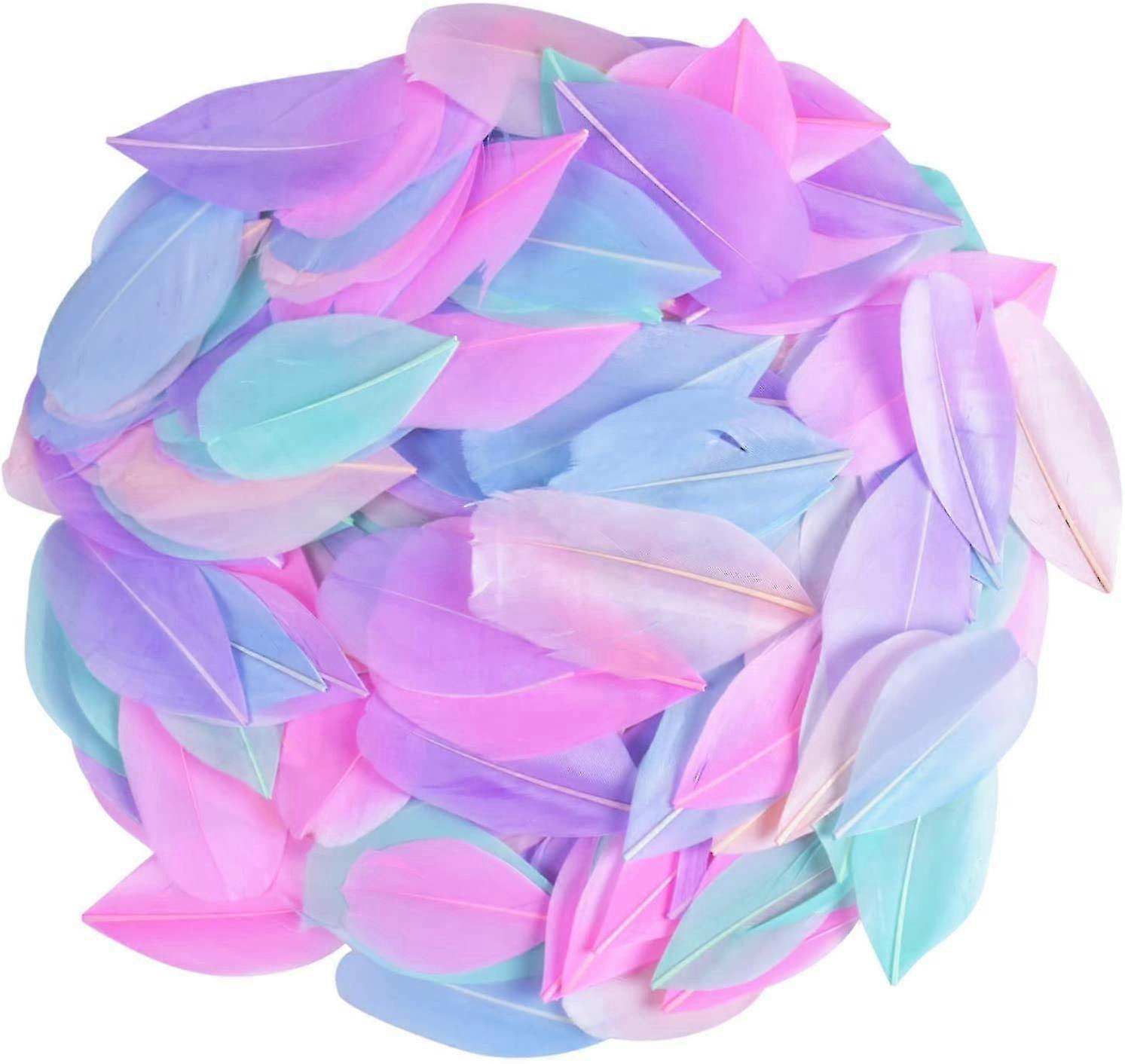 300 Pcs Natural Goose Feathers for Crafts