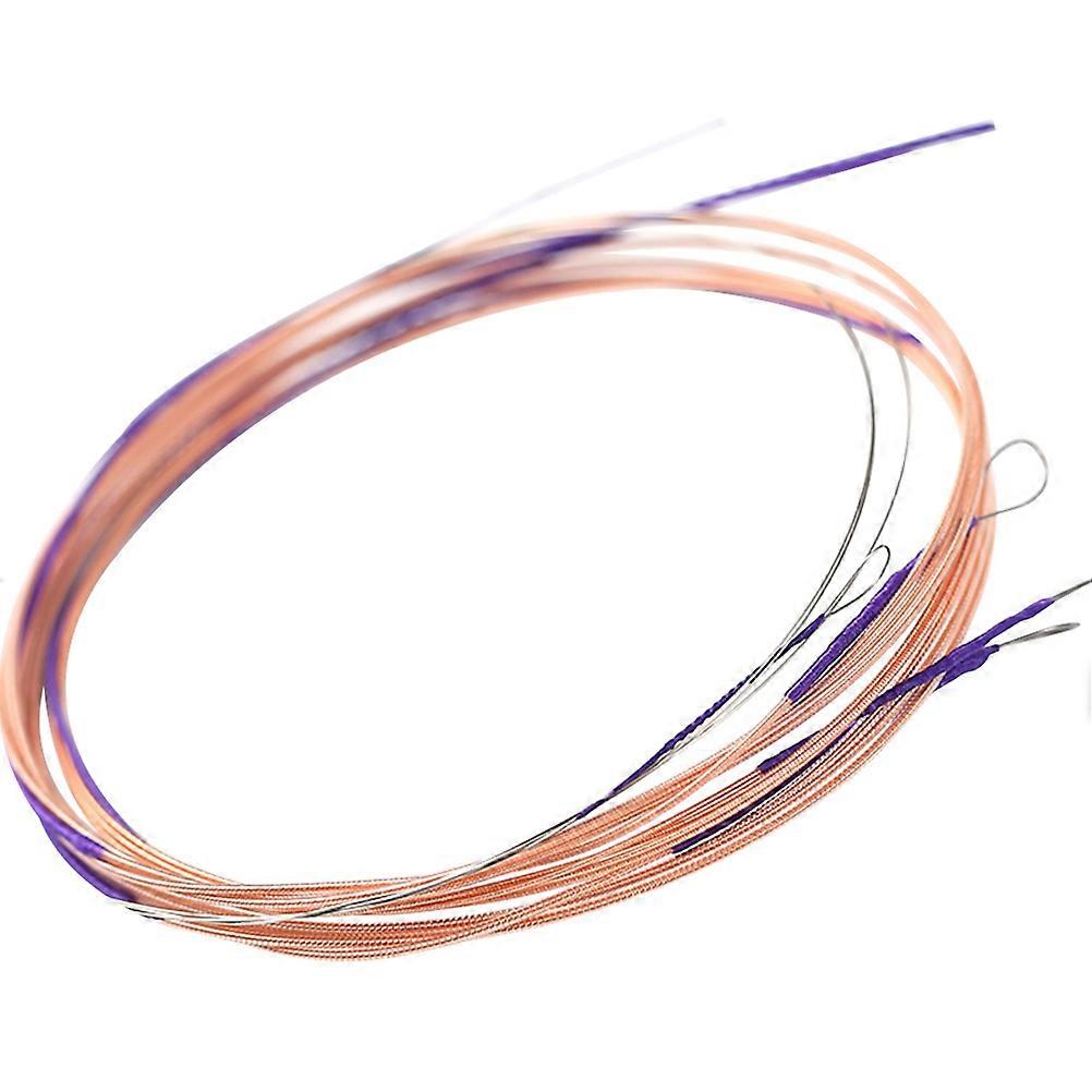 Pipa strumento Pipa corde Design per la pratica musicale Multi colore in acciaio Miglioramento del suono 4 pezzi