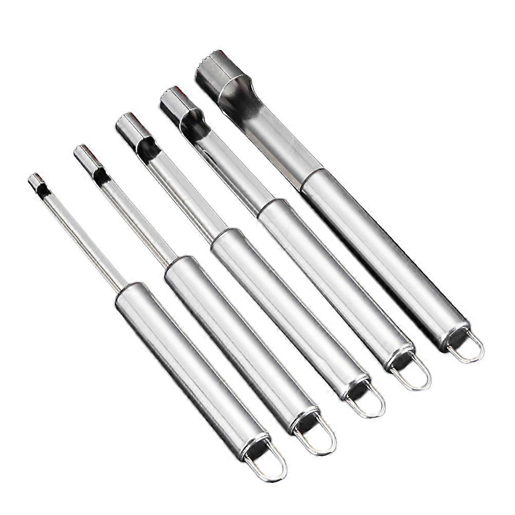 Stainless Steel Fruit Core Remover for Quick Seed Removing in Kitchen Silver Five Sizes