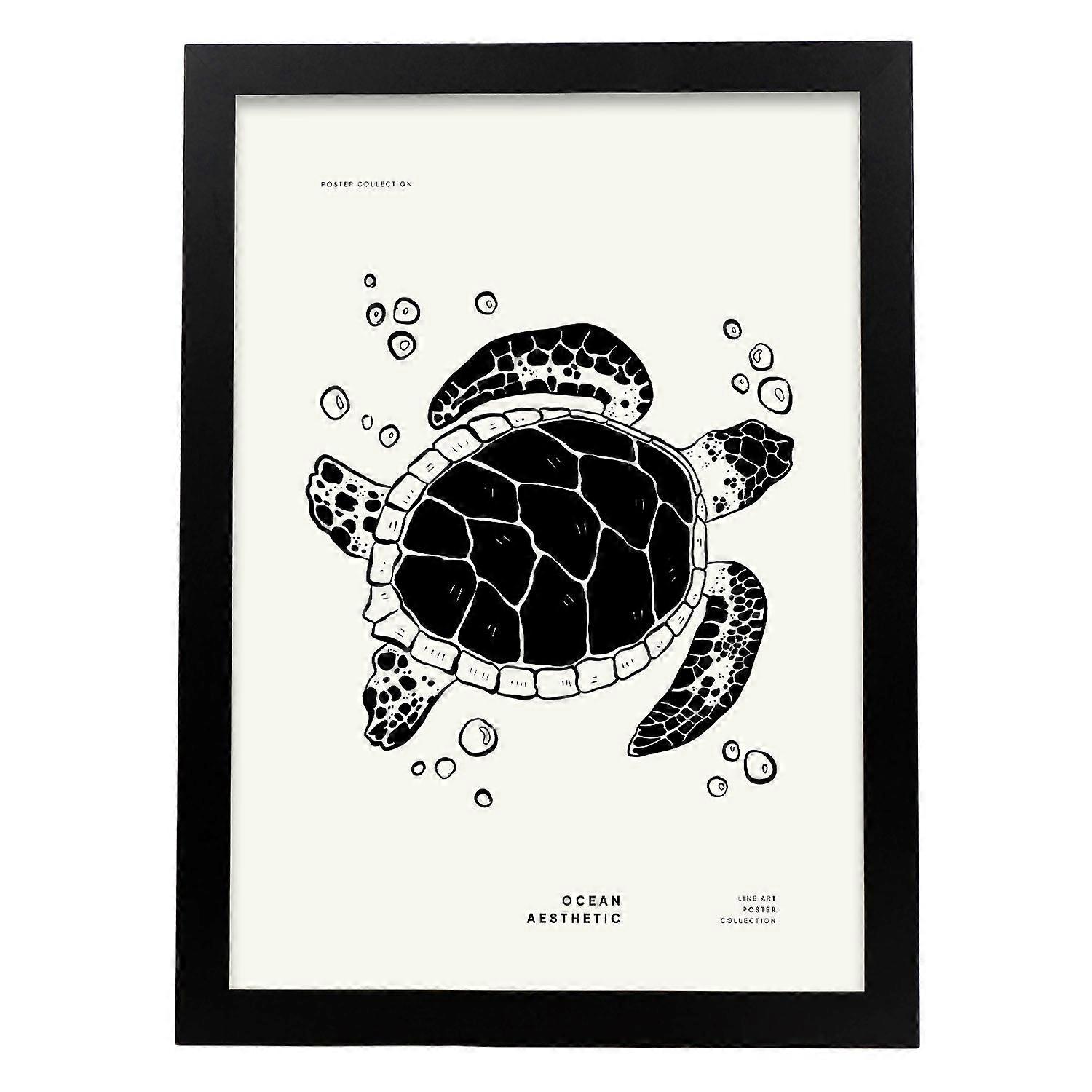 Affiche Tortue de mer