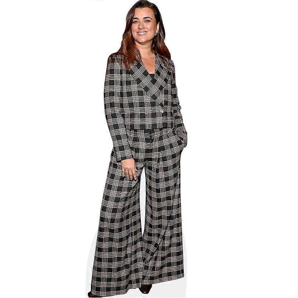 Cote de Pablo (Suit) Cardboard Cutout (lifesize OR mini size). Standee. Stand Up.