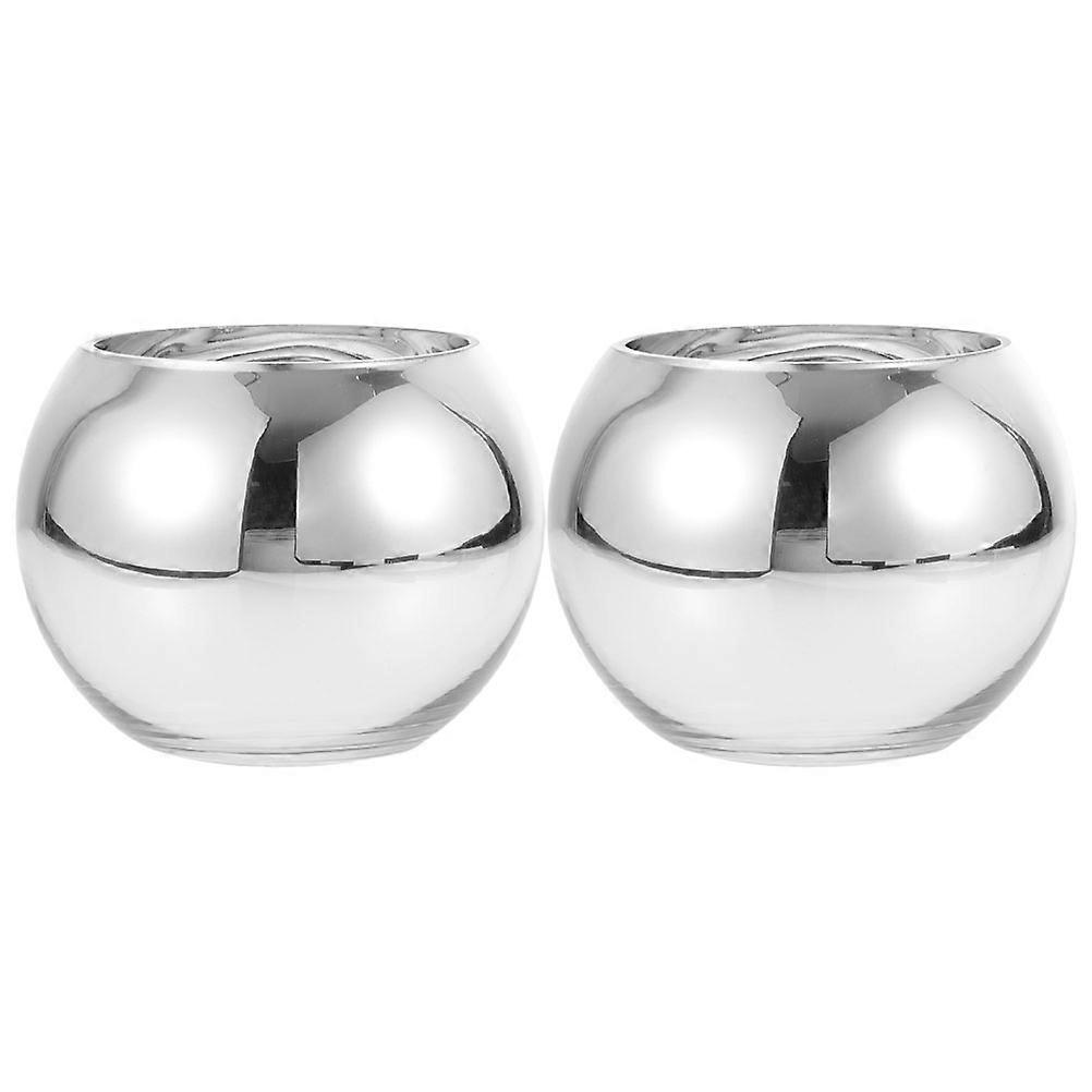 Flower Vase for Hydroponic Use 2Pcs Silver Round Set