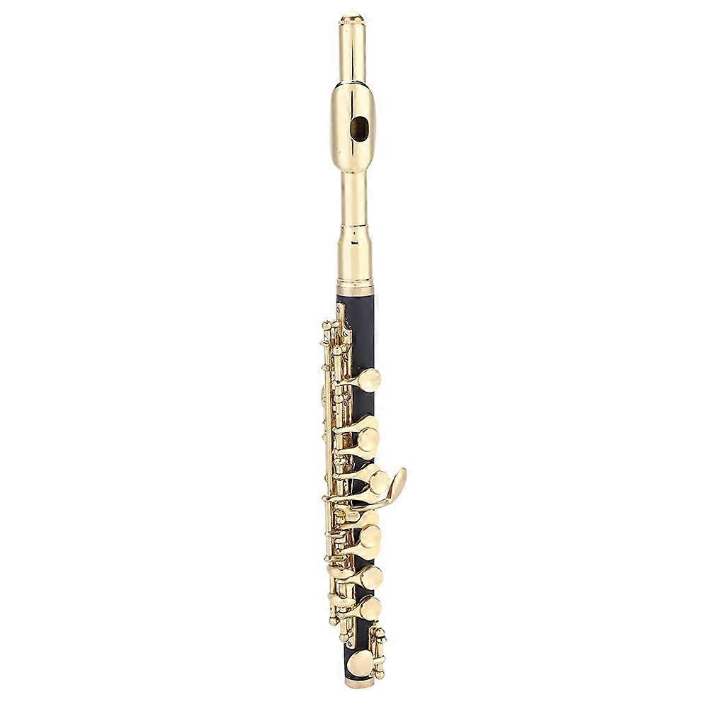 Gold C Key Piccolo Flute for Beginners with Elegant Finish and Padded Case