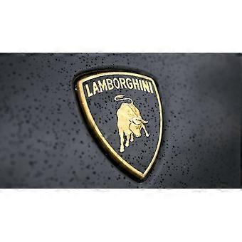 Quebra-cabeça com o logotipo da Lamborghini - Desafio F074