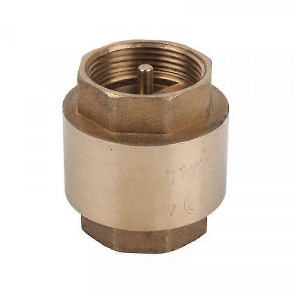 Valve Check Brass Spring Loaded 100mm