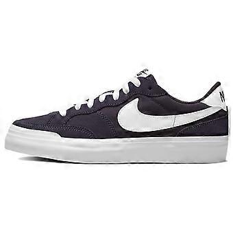 Nike Sb Zoom Pogo Cave Purple Women's DR9114-500