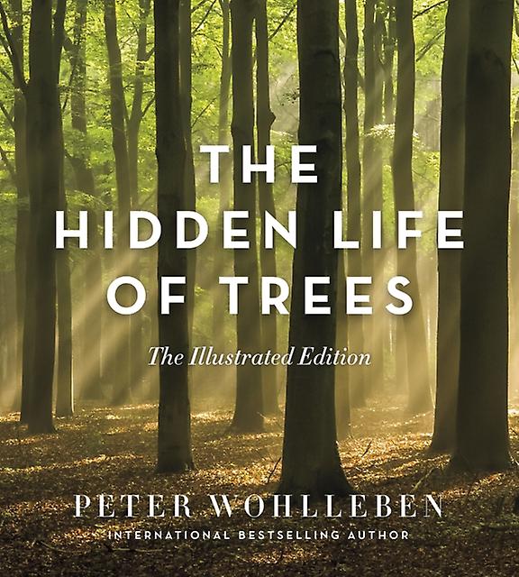 The Hidden Life Of Trees by Peter Wohlleben Paperback Book