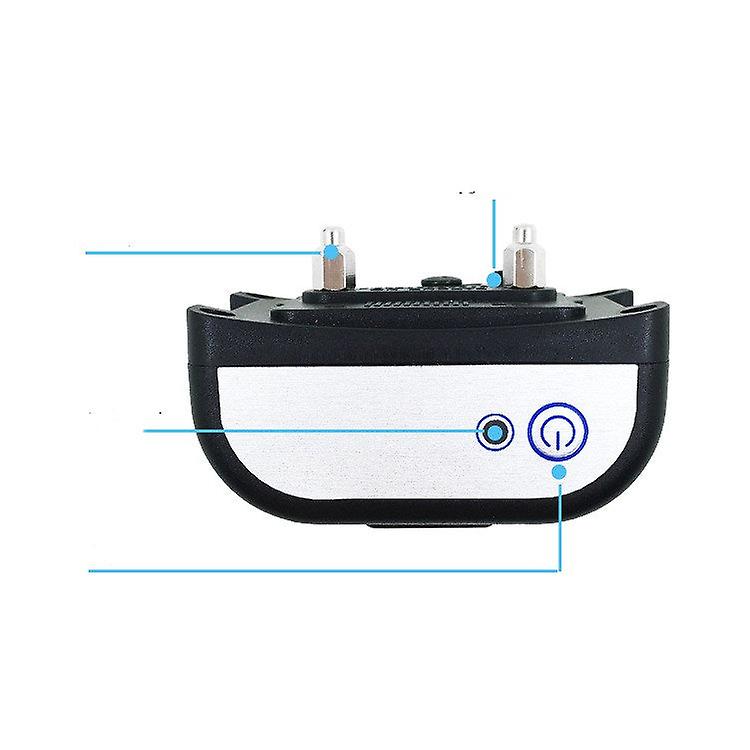Two-in-one Dog Training Device