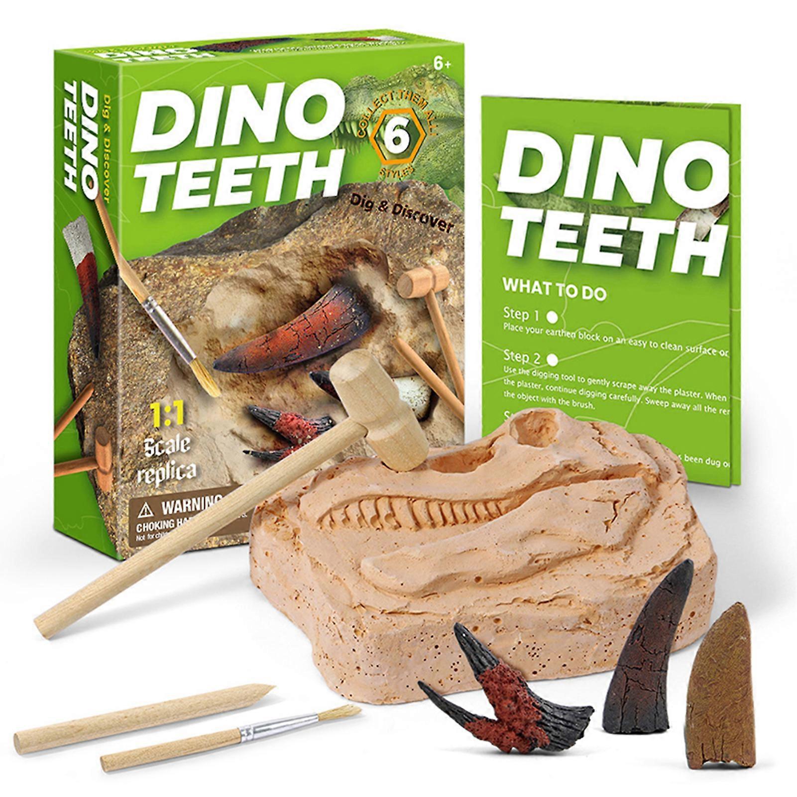Dino Fossil Digging Kit Simulation Dinosaur Tooth Model Ornament Educational Science Gift for Kids
