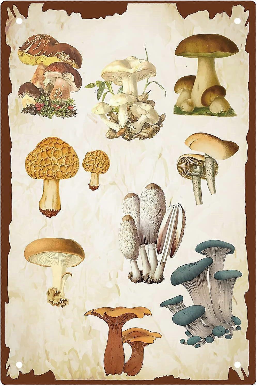 蘑菇金属标志墙饰复古复古艺术铁皮挂画海报牌厨房家居浴室卧室农场餐厅花园装饰