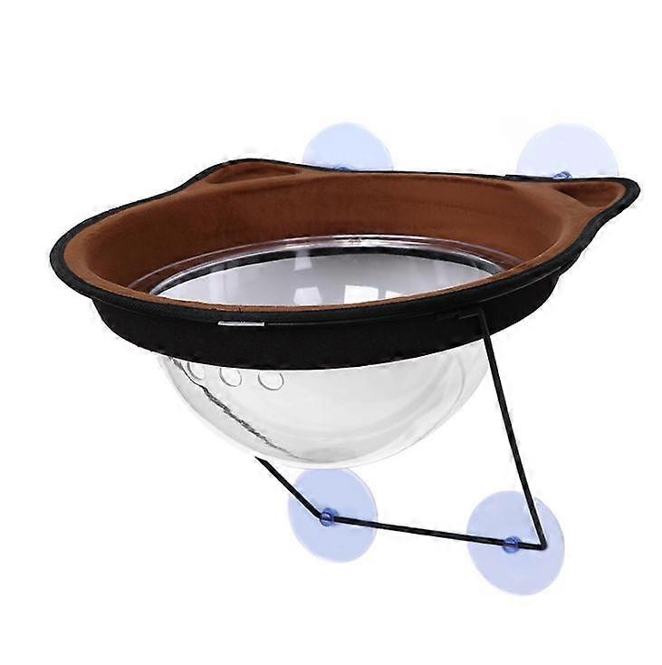 Space capsule cat litter, suction cup cat hammock, cat basking in the sun