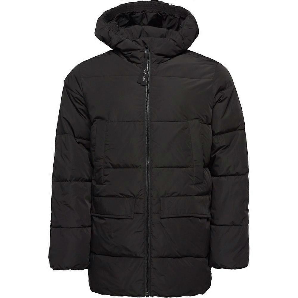 Jackets Loap Tambor CLM2440V21V