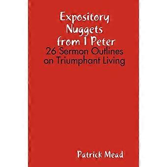 Expository Nuggets From 1 Peter - Patrick Mead - Paperback - en Book