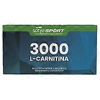 L-carnitine 3000 10 vials