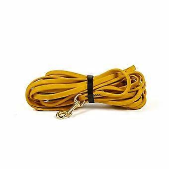 Dog Leash 3M 6M 9M Long PVC Pet Leashes Easy To Clean Rope Waterproof Training Leash compatible with Large Medium Small Dogs