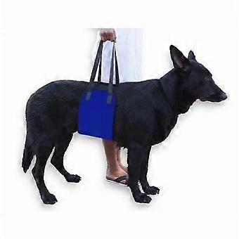 Carry support belt and dog belt for pet transportation (blue L)