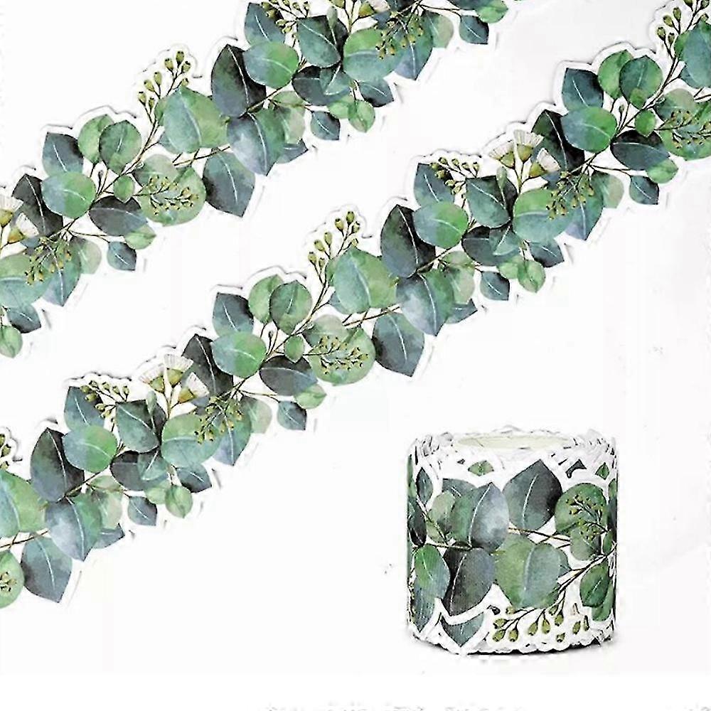 Greenery Eucalyptus Border Bulletin Board, Display Borders for Classrooms 5m