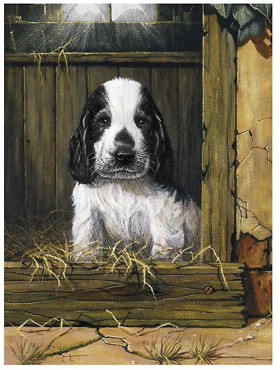 Painting by Numbers - Spaniel Puppy