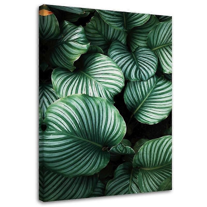Impression sur toile, Feuilles tropicales - 40x60