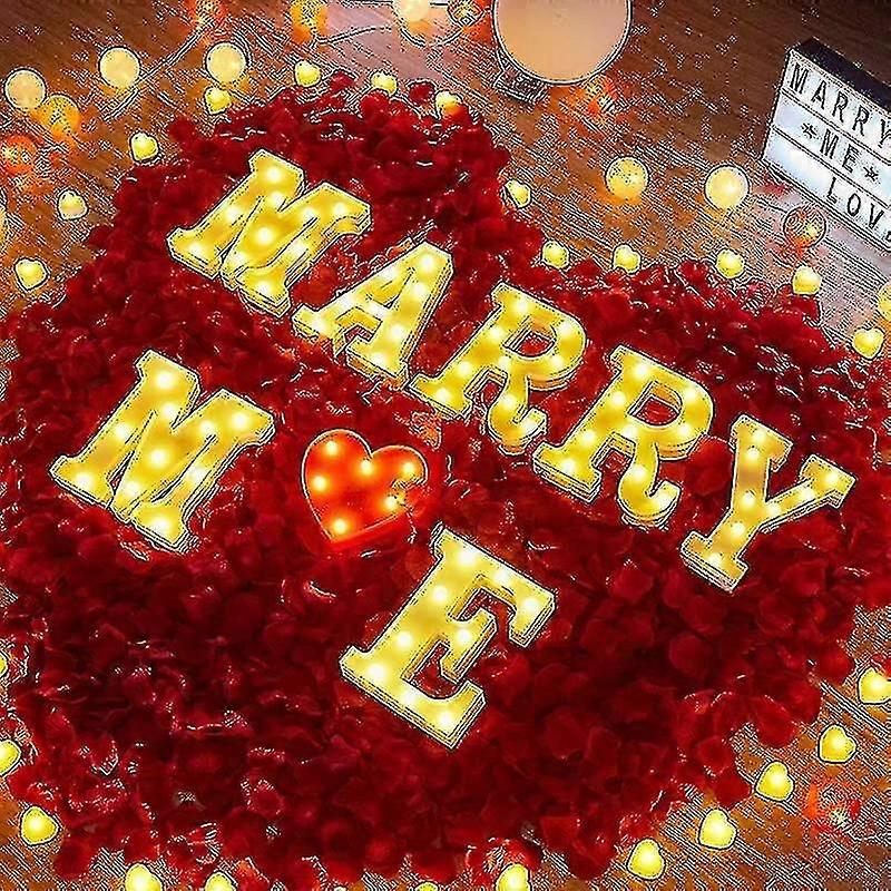 Marry Me Sign Light with LED Letters for Wedding Proposal