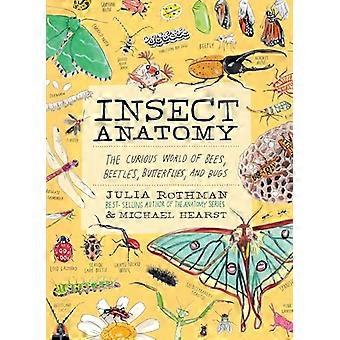 Insect Anatomy The Curious World of Bees Beetles Butterflies and Bugs