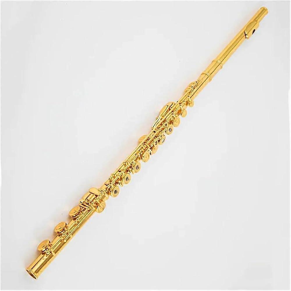 17 Open Hole Gold Plated Flute C Key with E Mechanism Ergonomic Layout for Beginners