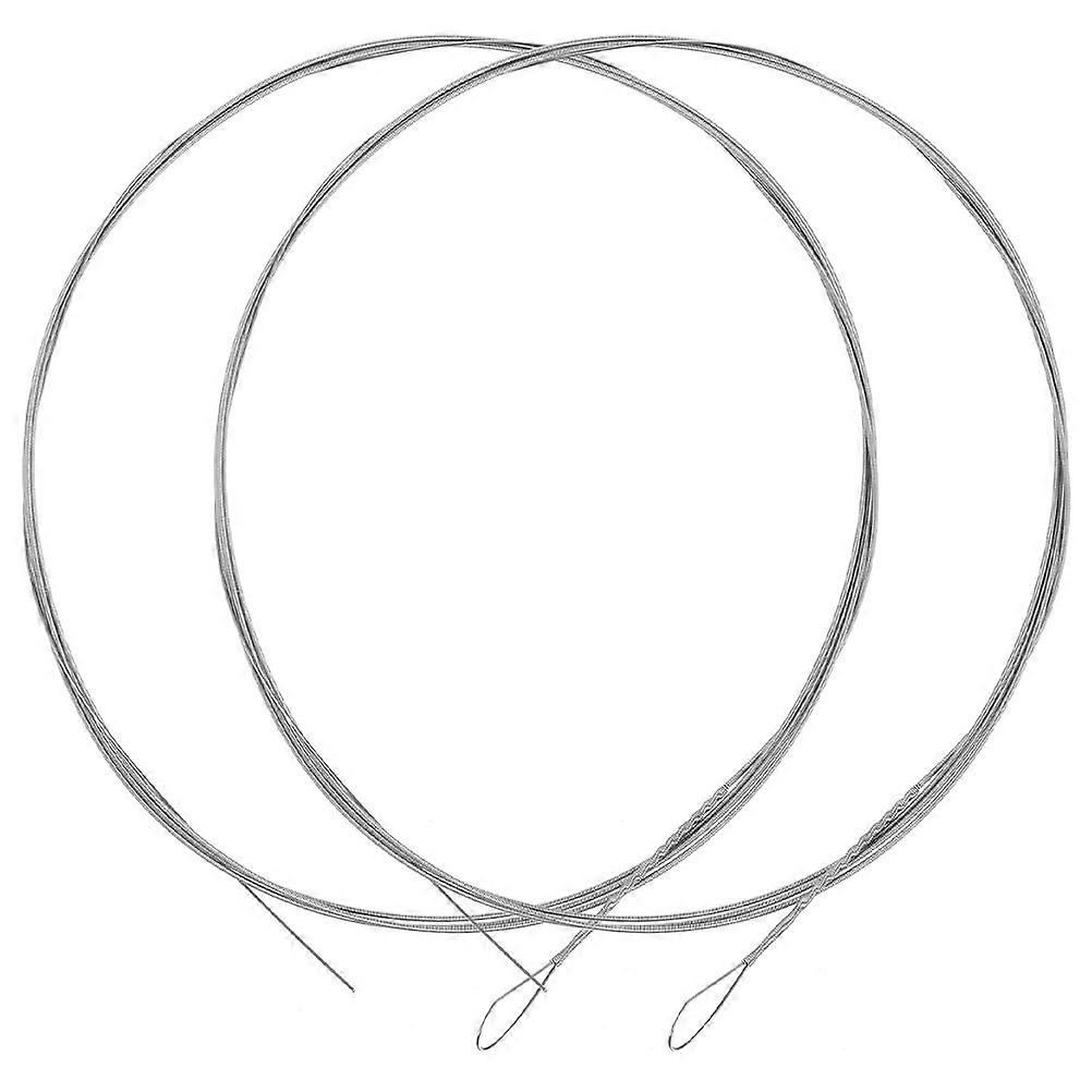 Metal Dulcimer Strings Replacement Dulcimer String 2Pcs Silver Steel