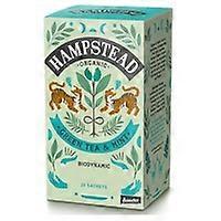 mint green tea 20 infusion bags
