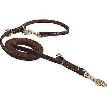Multi Function 8ft Leather Dog Leash, Genuine Leather Hands Free Leash for Small, Medium and Large Dogs