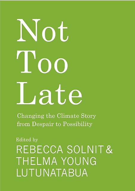 Not Too Late Paperback
