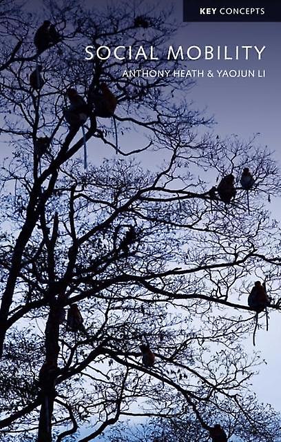 ניידות חברתית מאת יאו-ג'ון לי בכריכה רכה