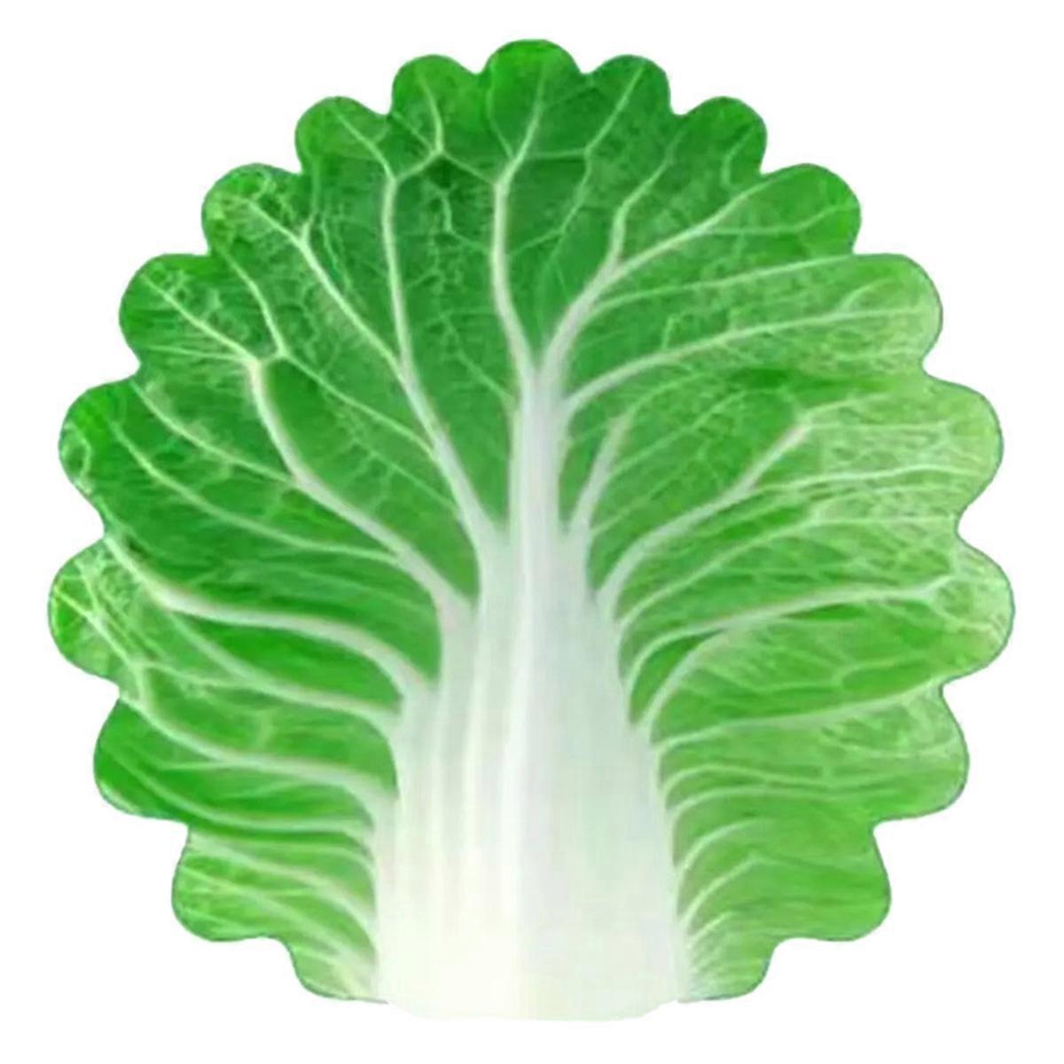 Soft Cabbage Blanket Funny Novelty Blanket 100x100cm
