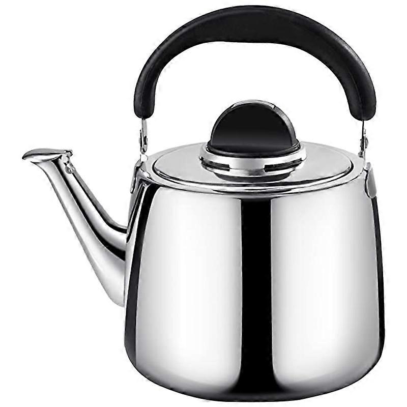 Stainless Steel Rapid Heating Boiling Water Pot Tea Kettle