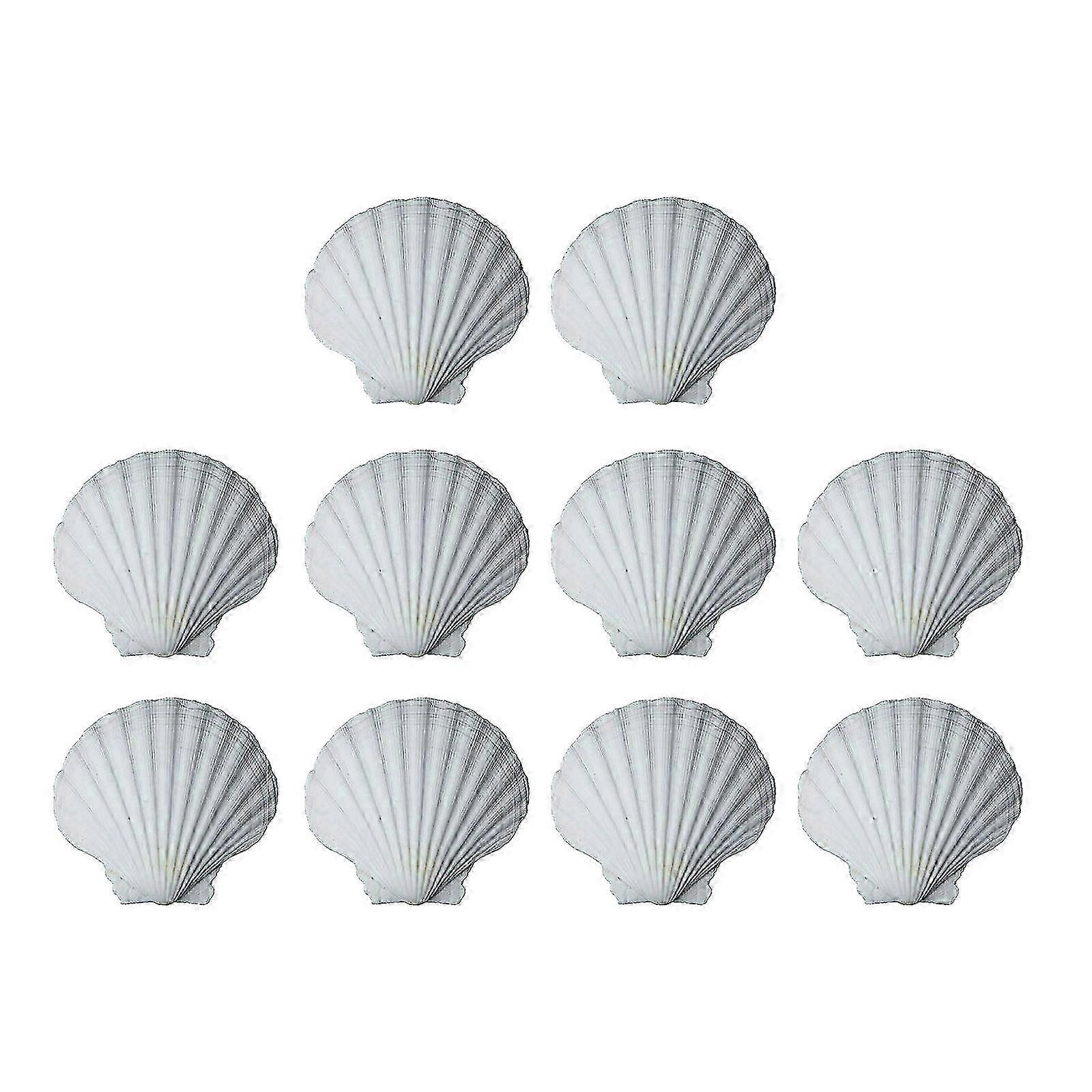 10PCS White Craft Shells for DIY Art Projects and Creative Classroom Use - Style C