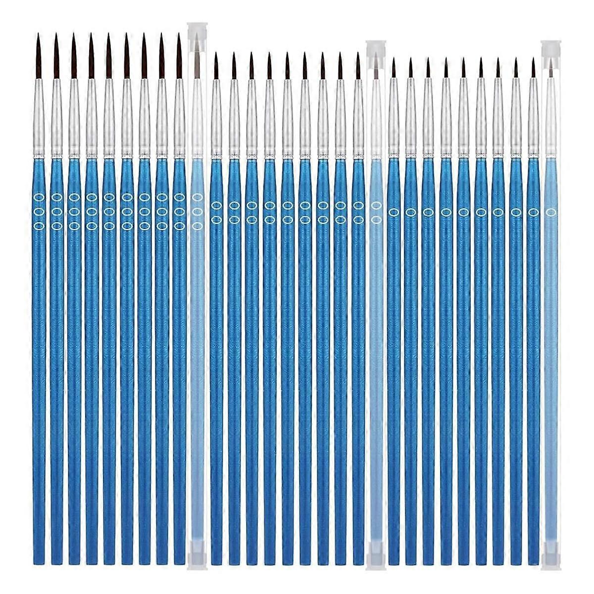30Pcs Small Paintbrushes with Protective Caps, Micro-Type Paintbrush Set, Fine Tip Paintbrushes for Detail Painting