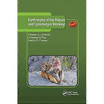 Erythrozyten der Rhesus- und Cynomolgus-Affen